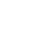 Expert icon